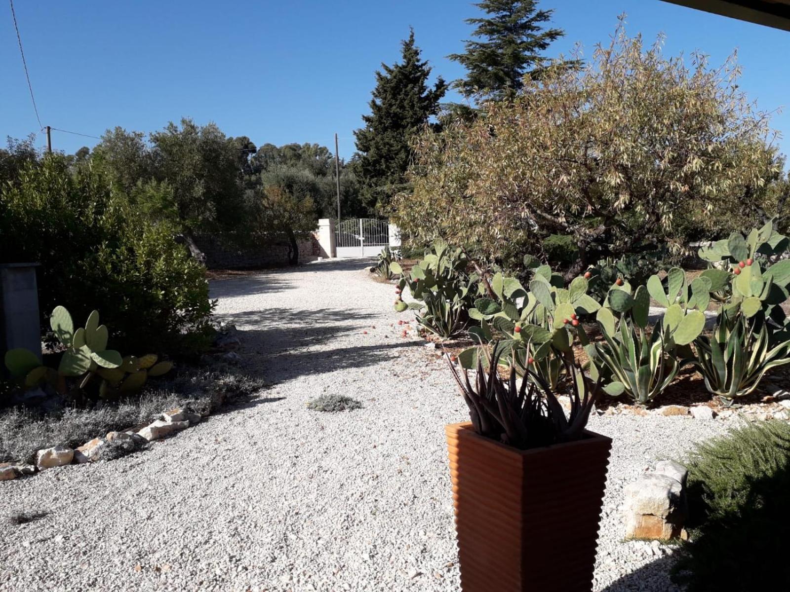 Masseria Due Torri Monopoli Room photo