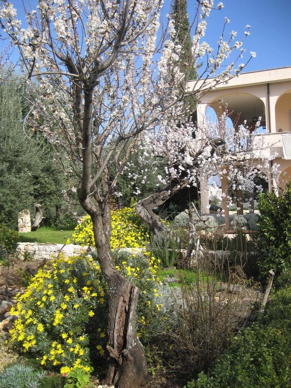 Masseria Due Torri Monopoli Room photo