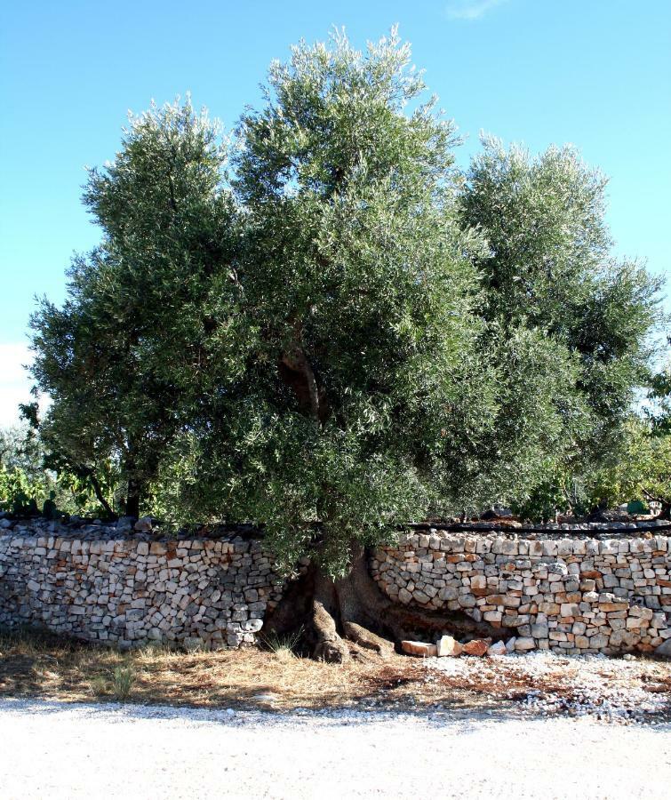 Masseria Due Torri Monopoli Exterior photo
